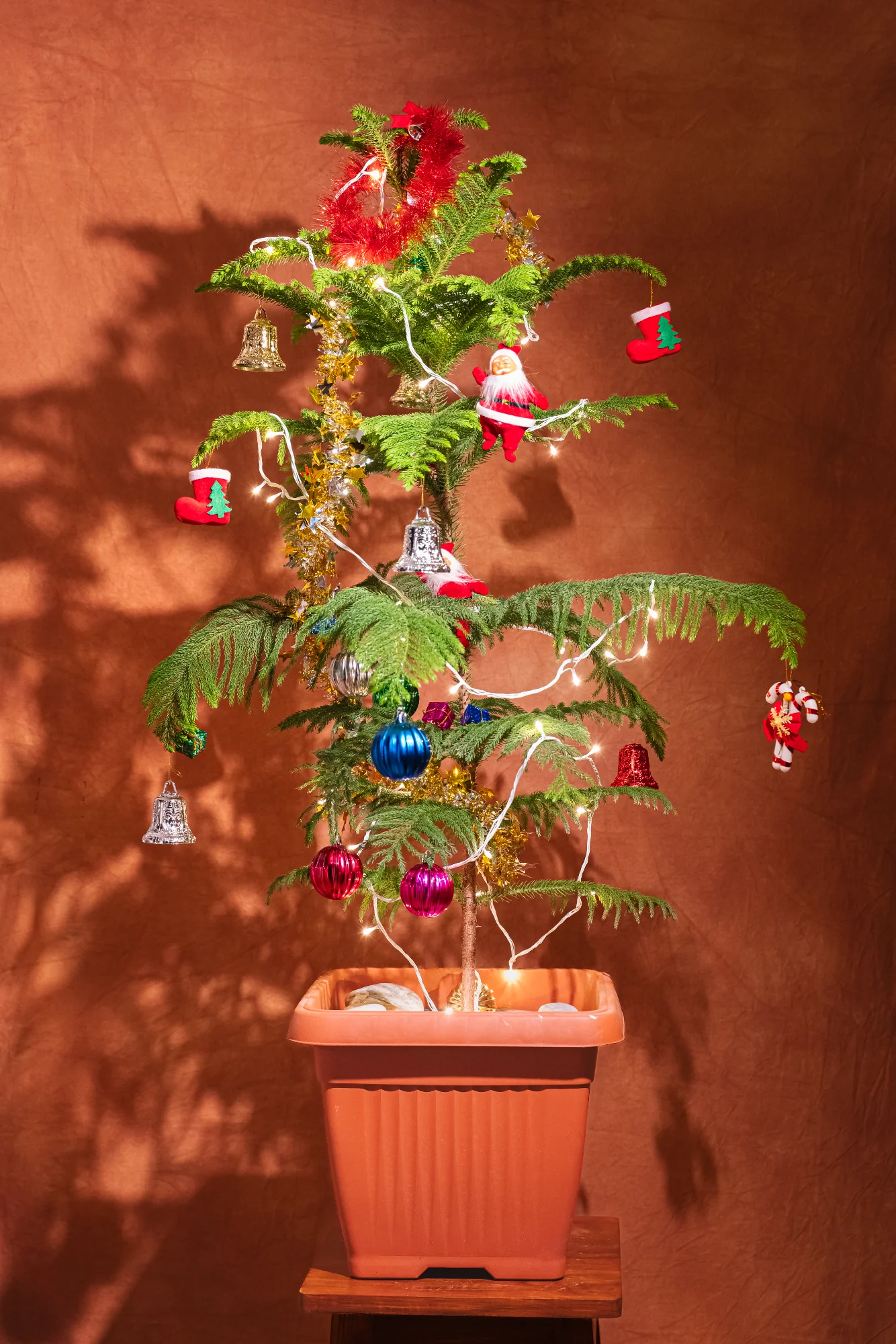 Christmas Tree Square Planter View 2