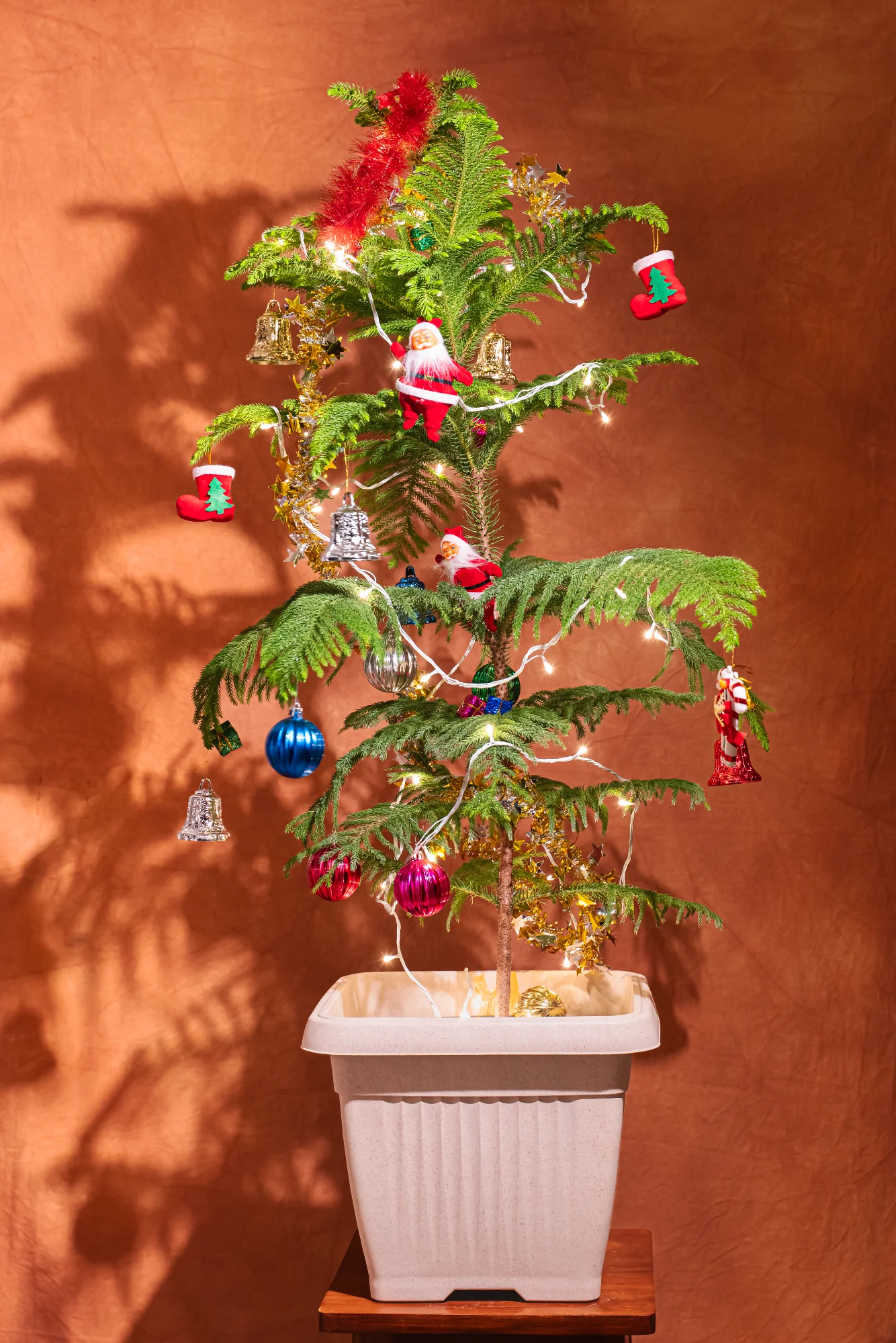 Christmas Tree Square Planter View 1